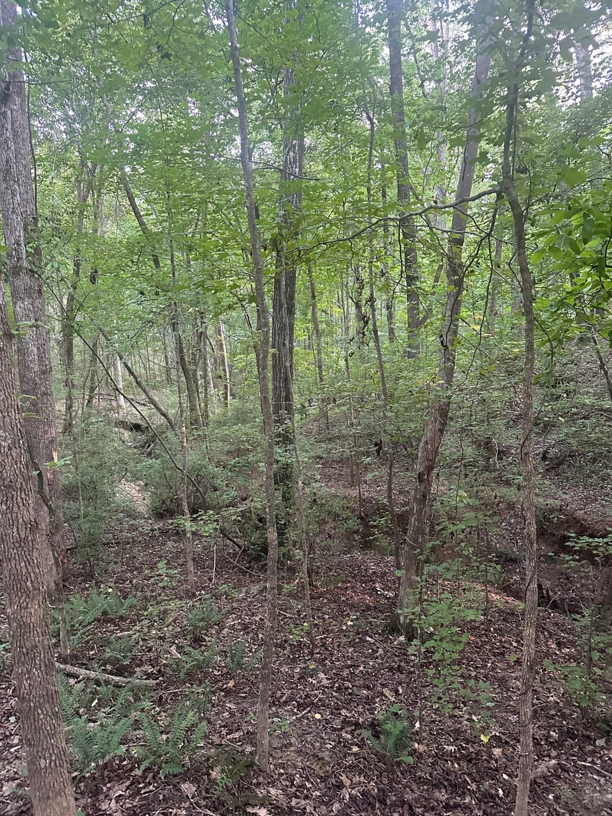 19.46 ACRES Tommy Lee Cook Road, Newnan, Georgia