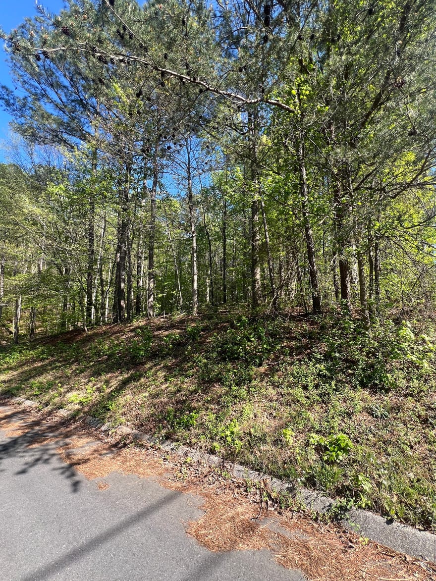 LOT #4 Battle Ridge Drive, Dalton, Georgia