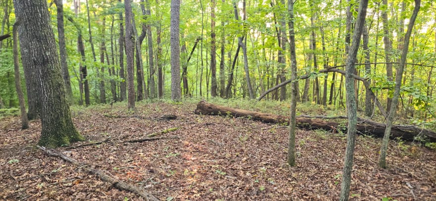 LOT 20 Seye Wailo Trail, Clarkesville, Georgia