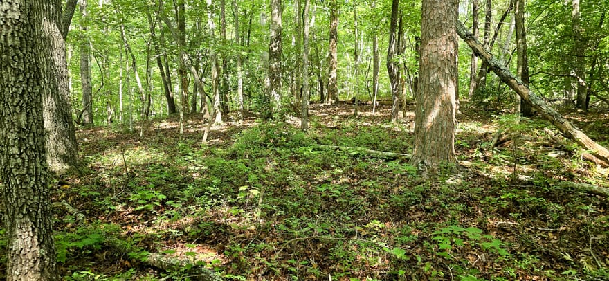 LOT 20 Seye Wailo Trail, Clarkesville, Georgia