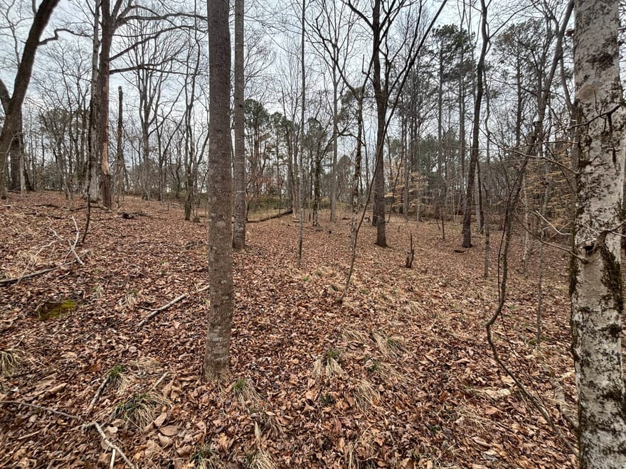 Oconee Road, Buckhead, Georgia