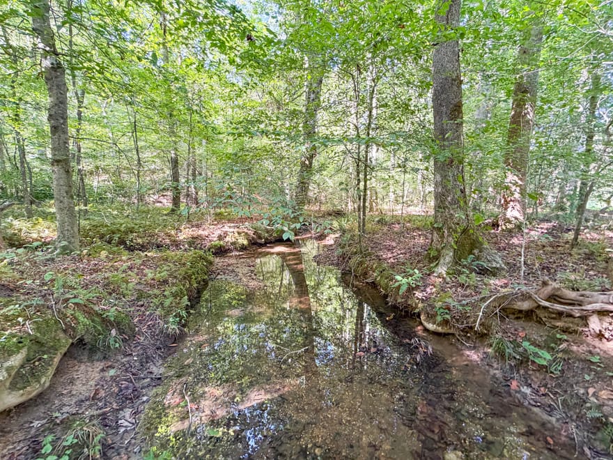 140 +/- Acres On Ga Hwy 100, Buchanan, Georgia