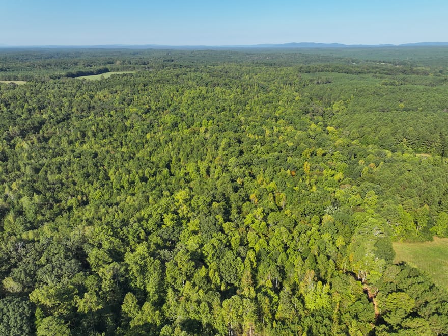 140 +/- Acres On Ga Hwy 100, Buchanan, Georgia