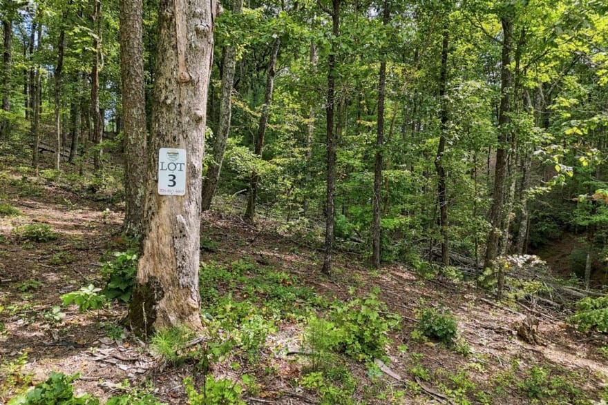 3 Turkey Spur Drive, Ellijay, Georgia