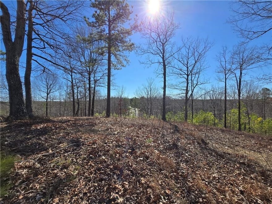 Brushy Mountain Road, Rockmart, Georgia