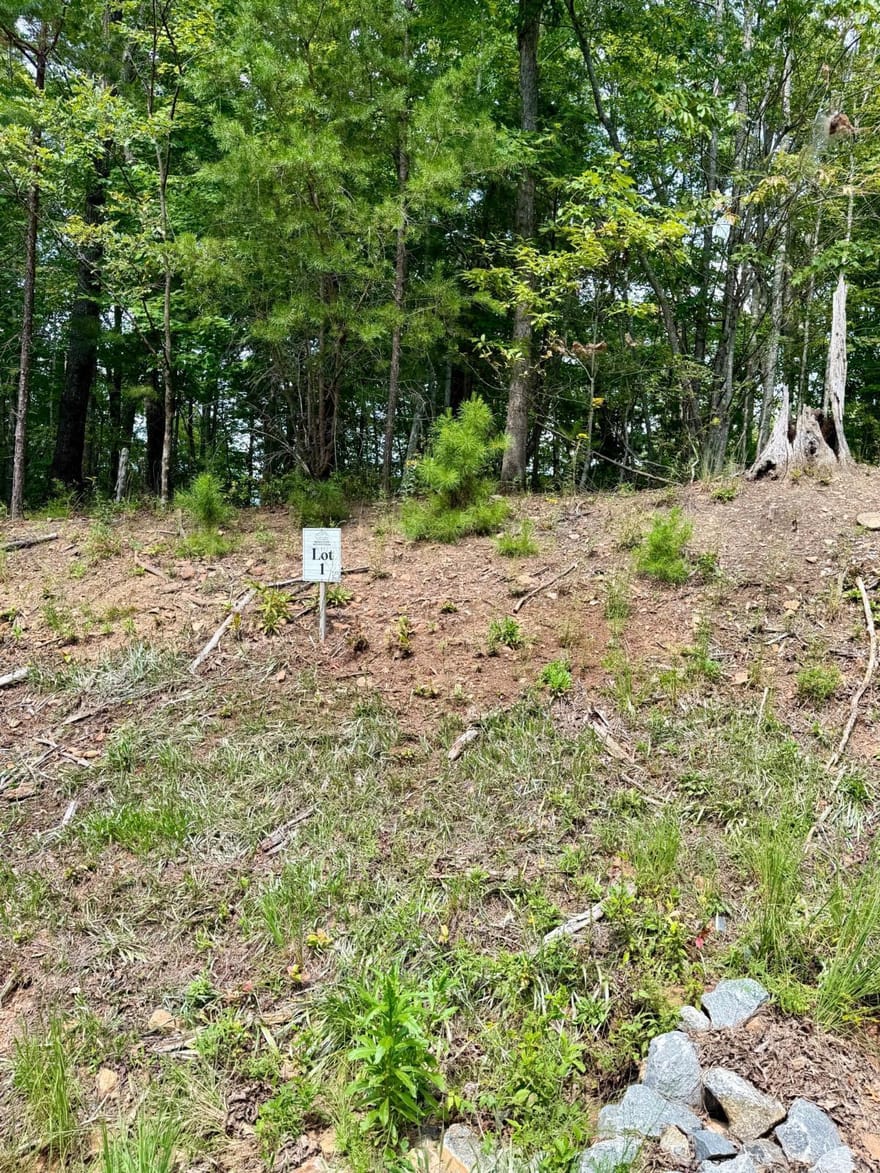 LOT 1 S Blue Horizon Drive, Blue Ridge, Georgia