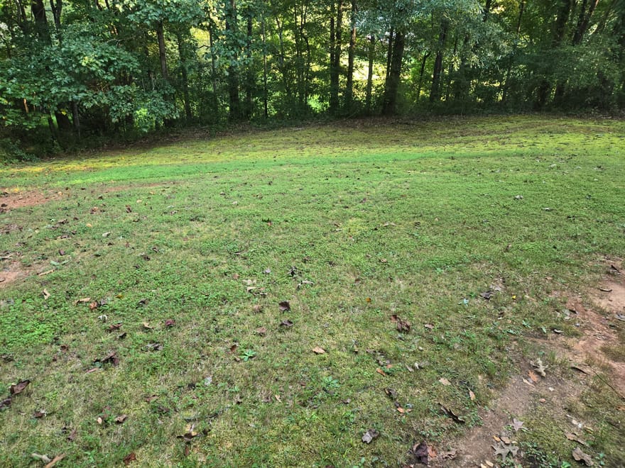 4809 Cedar Lake Drive, Conyers, Georgia