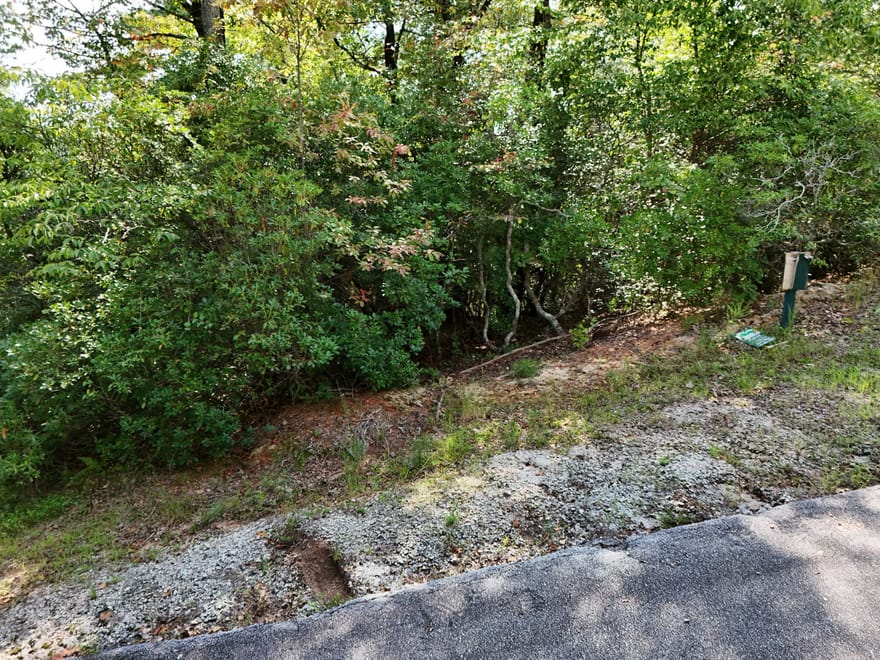 LOT 119 EE Brown Hawk Drive, Clayton, Georgia