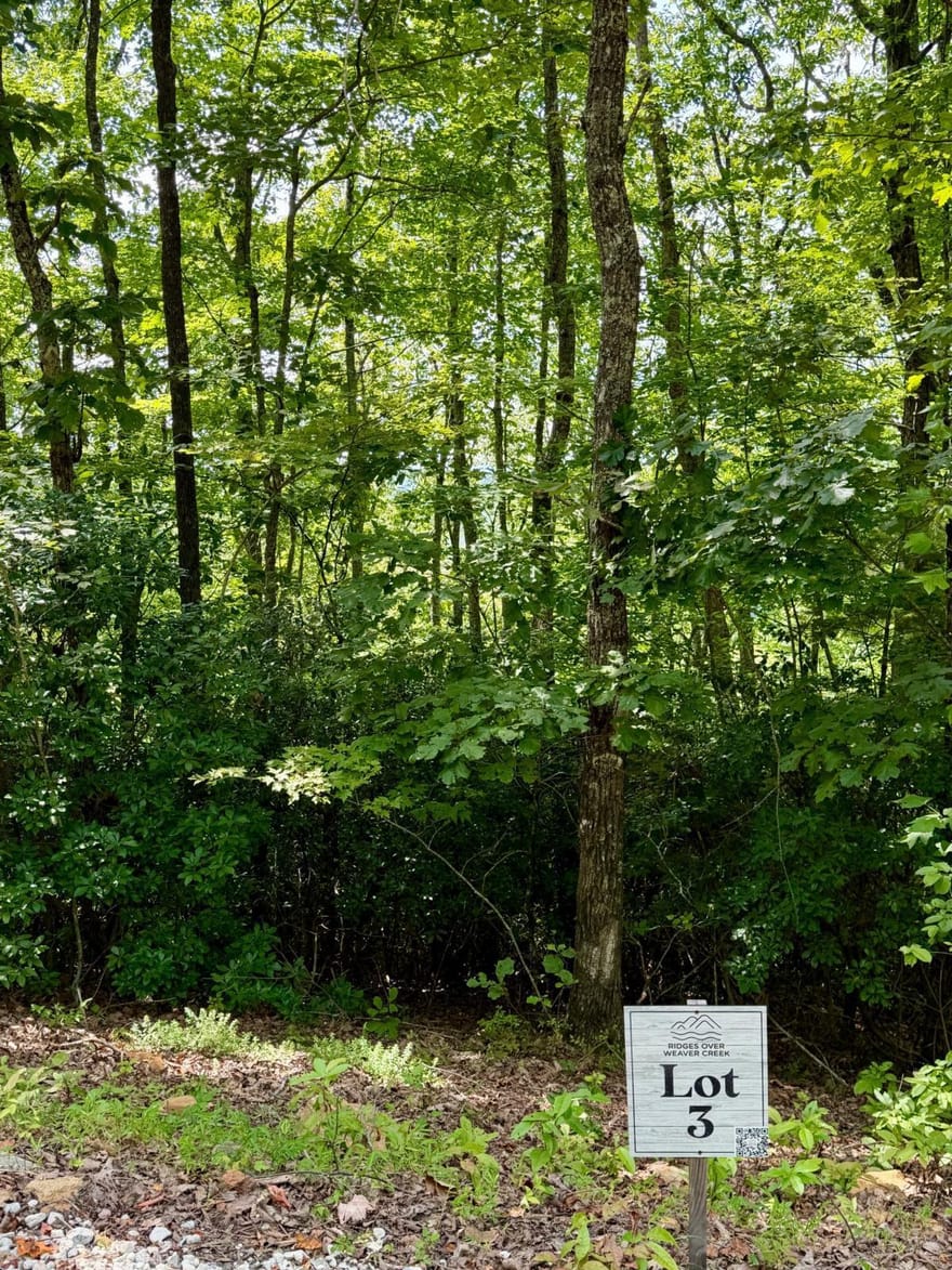 LOT 3 Blue Horizon Drive, Blue Ridge, Georgia