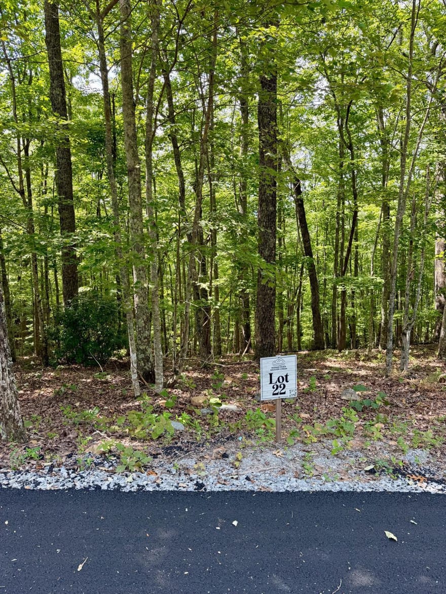 LOT 22 Blue Horizon Drive, Blue Ridge, Georgia
