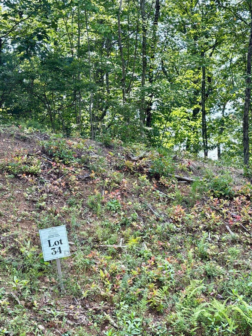 LOT 34 Blue Horizon Drive, Blue Ridge, Georgia