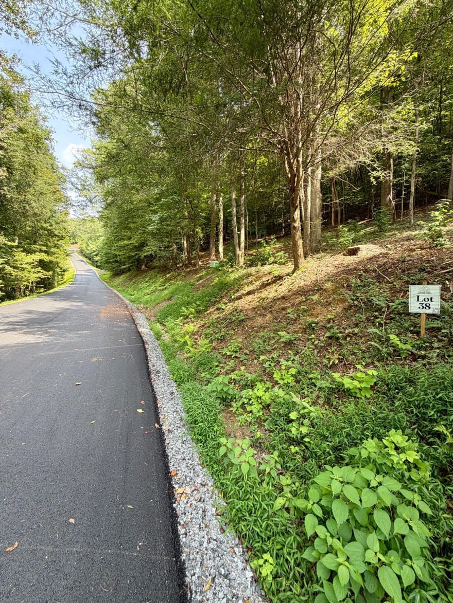 LOT 38 Blue Horizon Drive, Blue Ridge, Georgia