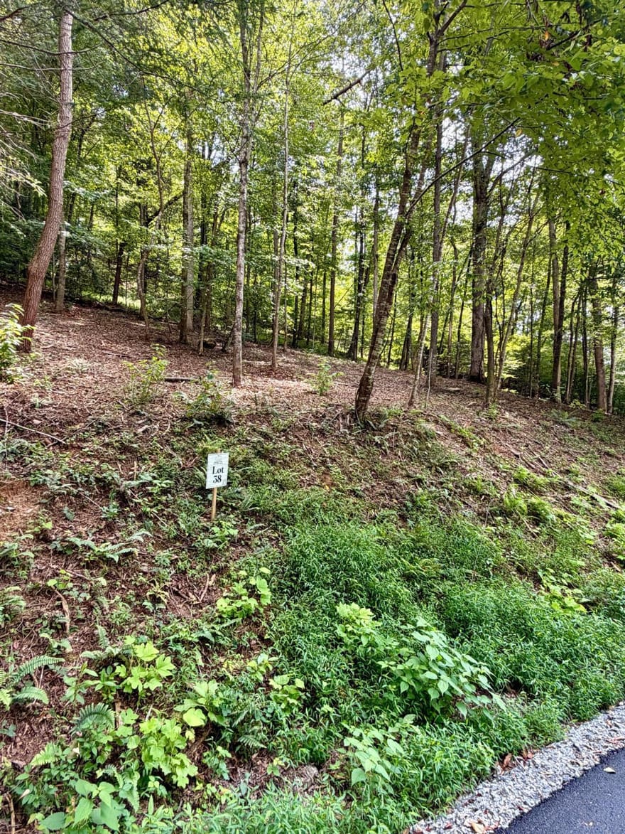 LOT 38 Blue Horizon Drive, Blue Ridge, Georgia