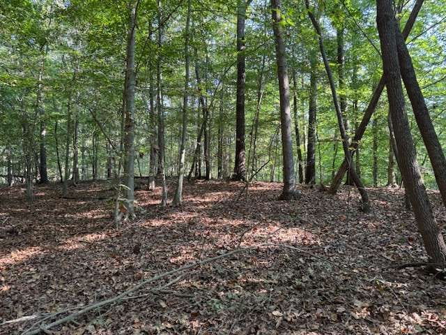 340 Jesse Martin Trail, Canton, Georgia