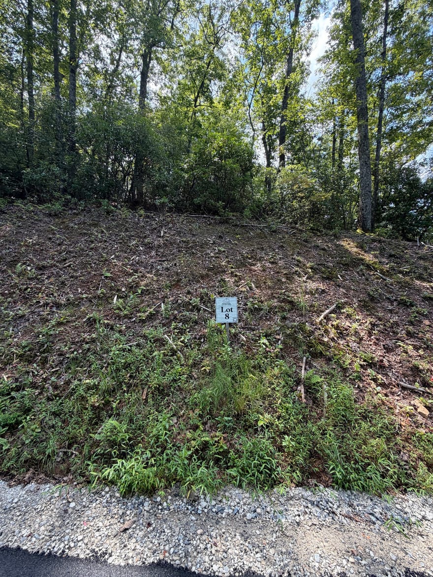 LOT 8 Sapphire Ridge, Blue Ridge, Georgia