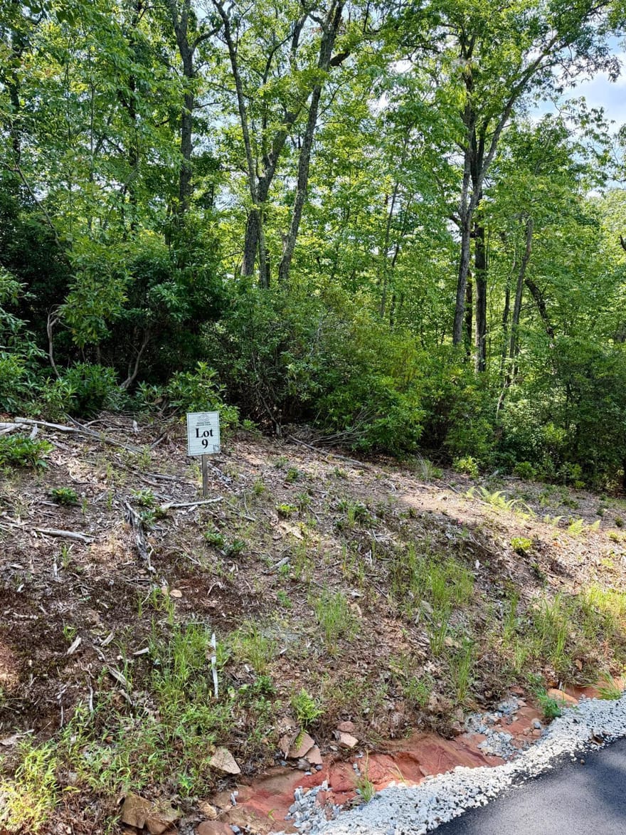 LOT 9 Sapphire Ridge, Blue Ridge, Georgia