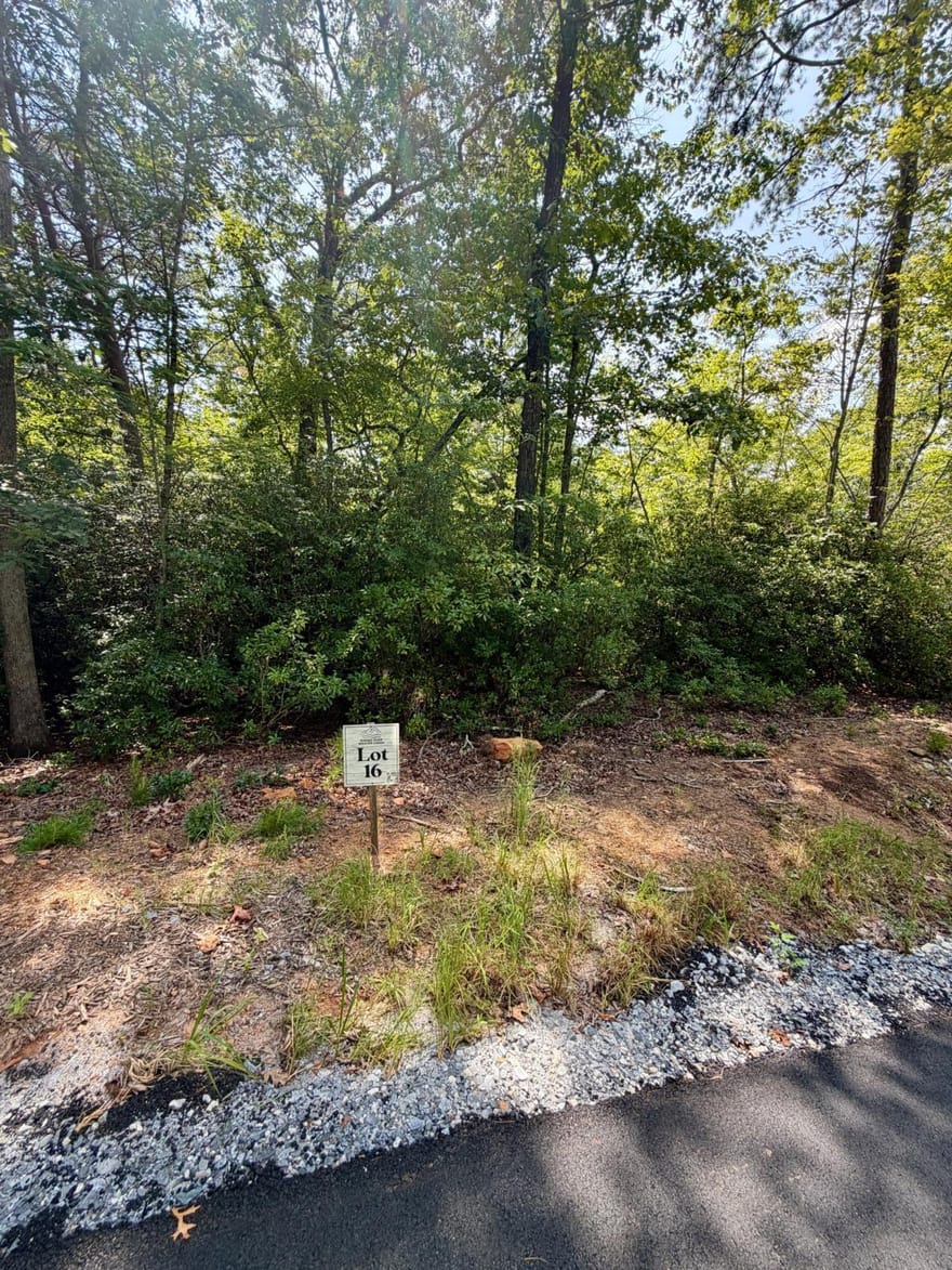 LOT 16 Turquoise Ridge, Blue Ridge, Georgia