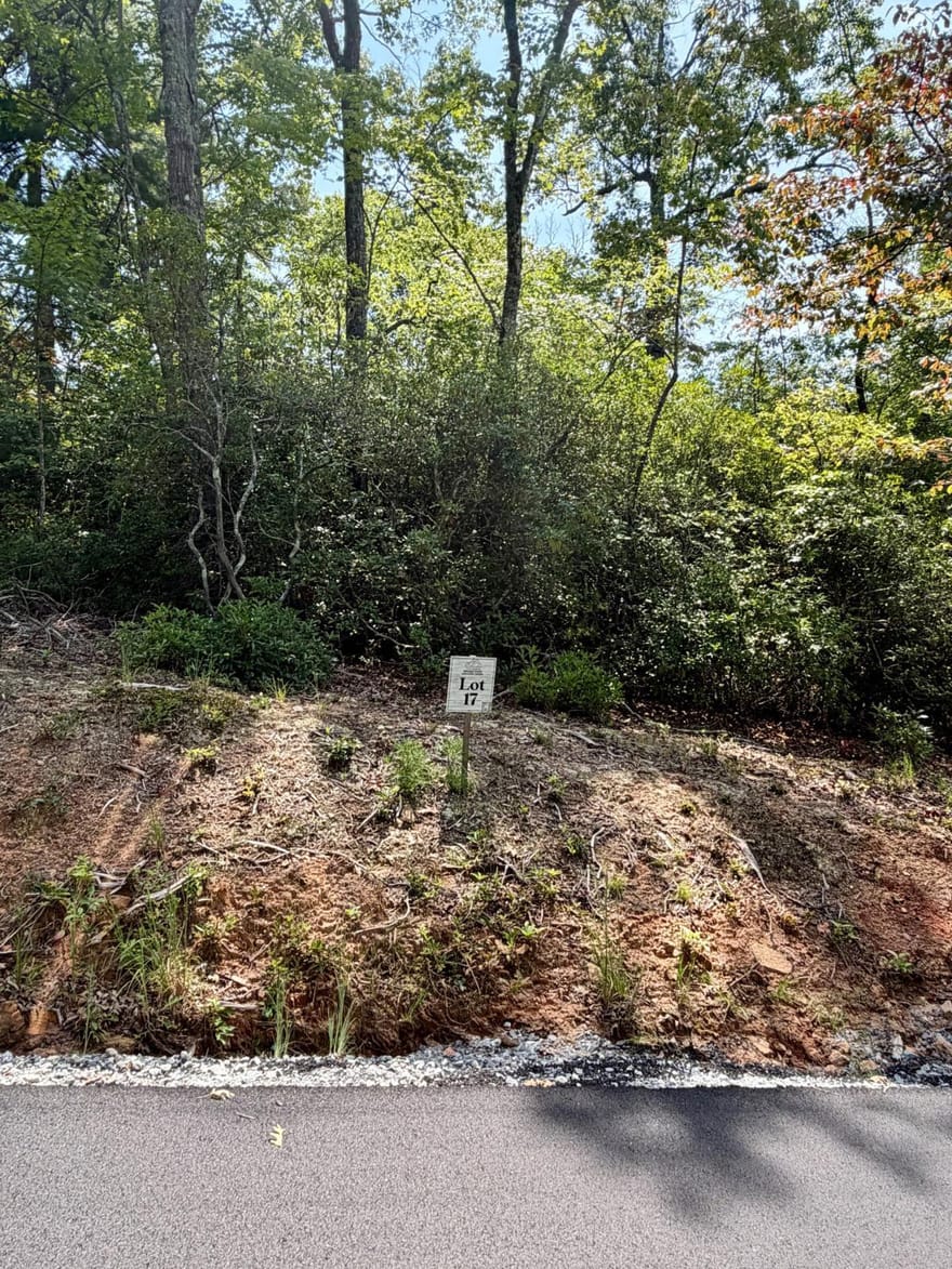 LOT 17 Turquoise Ridge, Blue Ridge, Georgia