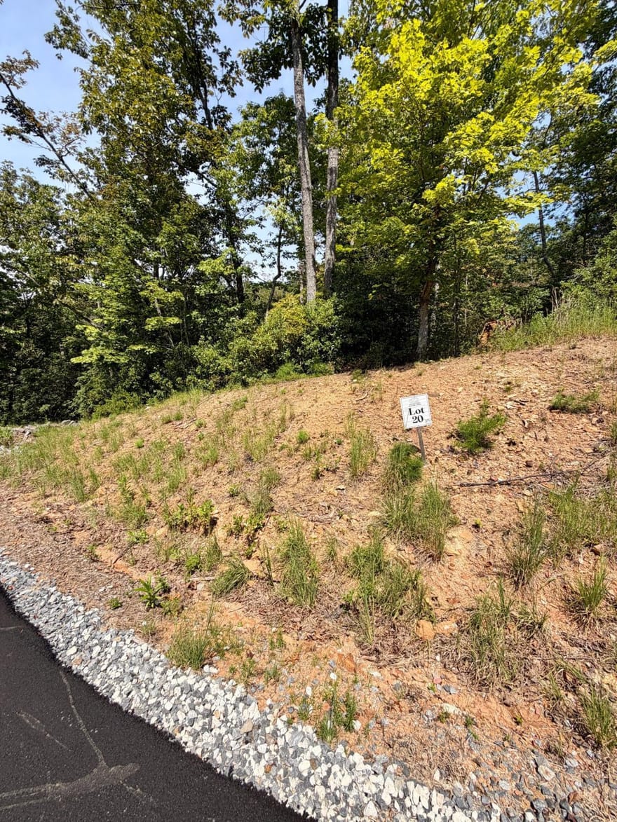 LOT 20 Turquoise Ridge, Blue Ridge, Georgia