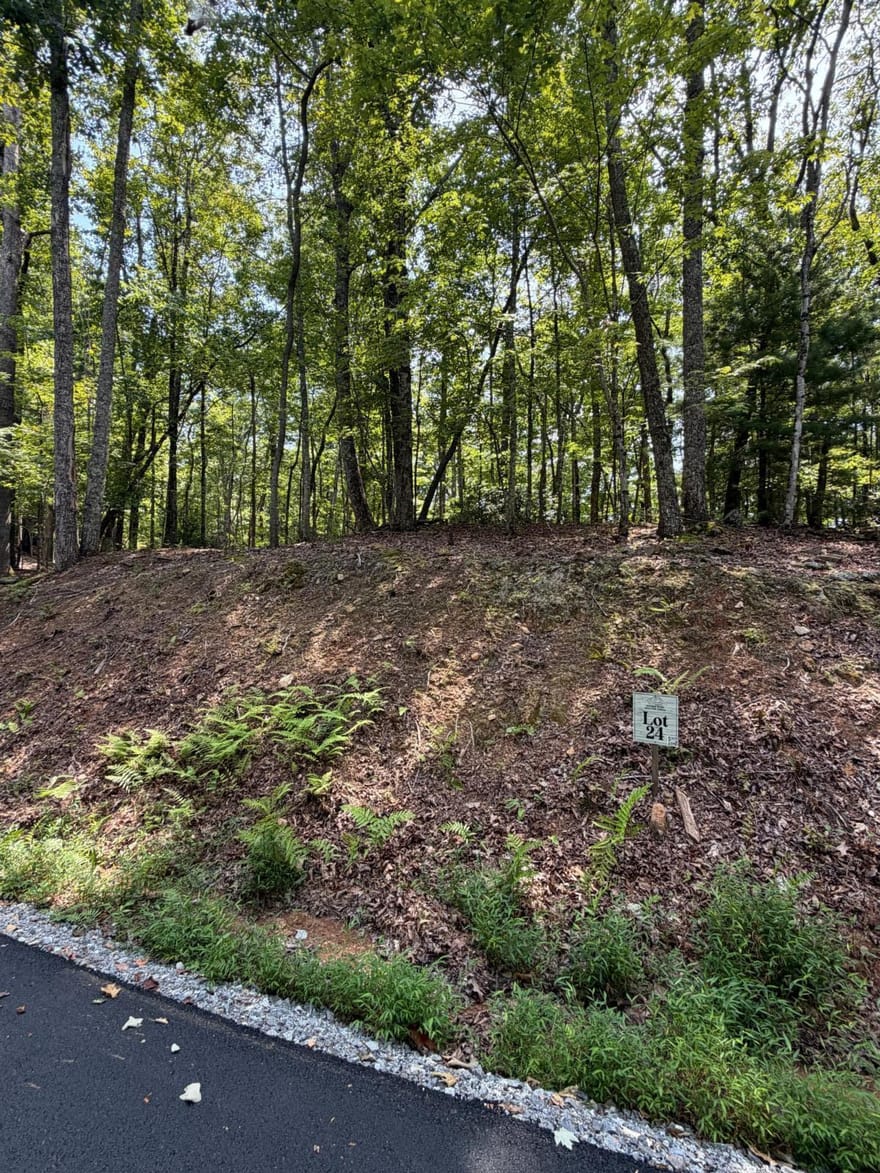 LOT 24 Prospect Ridge, Blue Ridge, Georgia