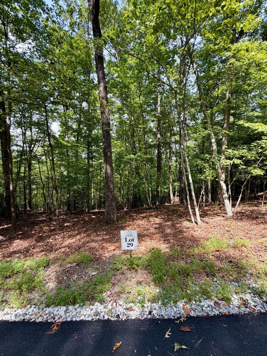 LOT 29 Prospect Ridge, Blue Ridge, Georgia