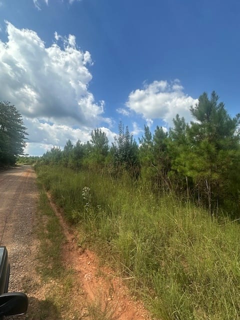 Cook Road, Monticello, Georgia