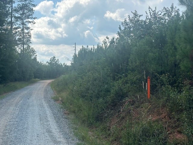 Cook Road, Monticello, Georgia