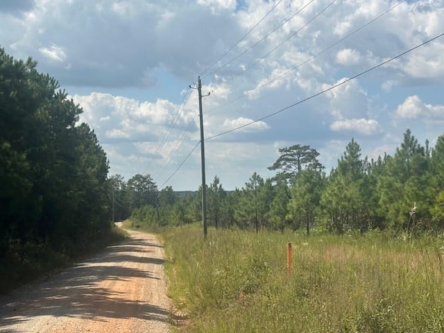 Cook Road, Monticello, Georgia