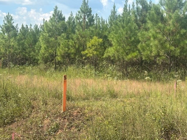 Cook Road, Monticello, Georgia