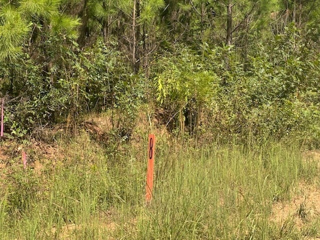 Cook Road, Monticello, Georgia