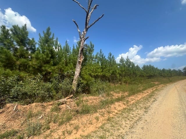 Cook Road, Monticello, Georgia