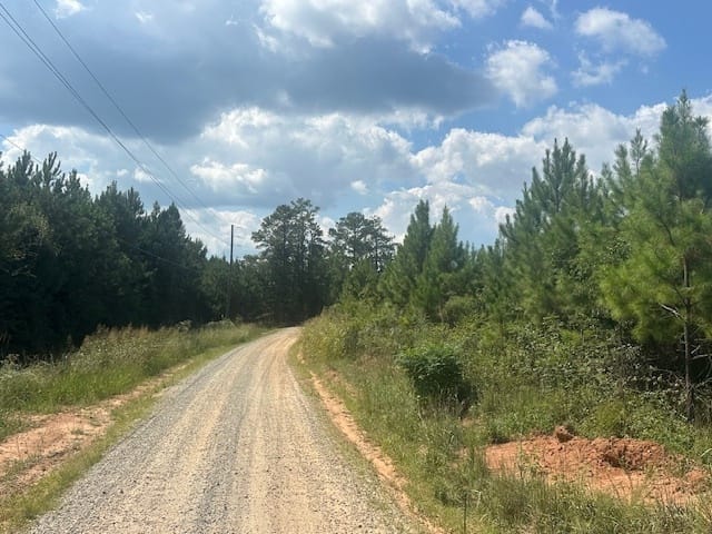 Cook Road, Monticello, Georgia