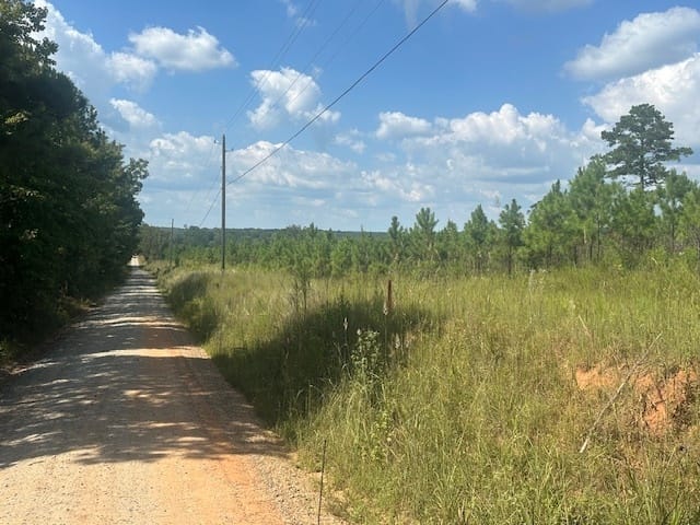 Cook Road, Monticello, Georgia