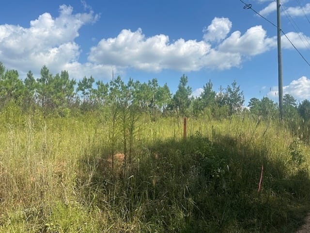 Cook Road, Monticello, Georgia