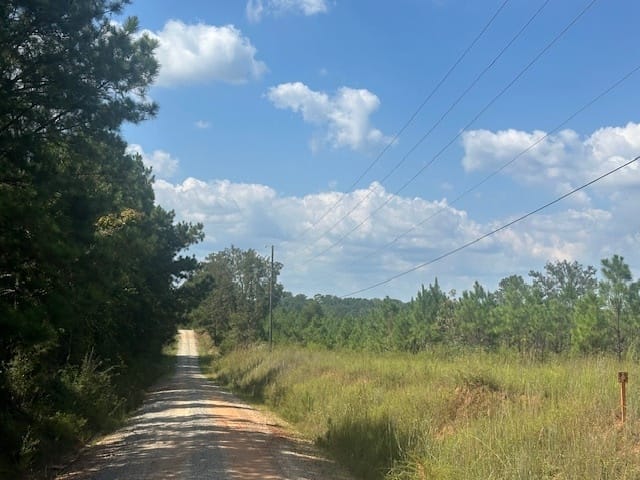 Cook Road, Monticello, Georgia
