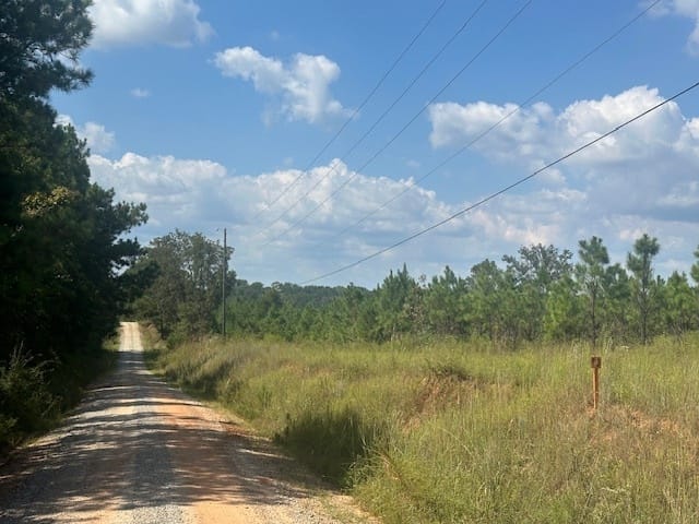 Cook Road, Monticello, Georgia