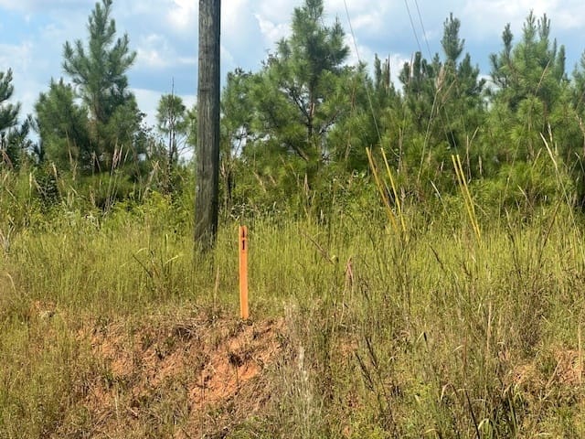 Cook Road, Monticello, Georgia