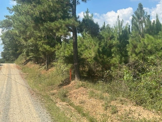 Cook Road, Monticello, Georgia