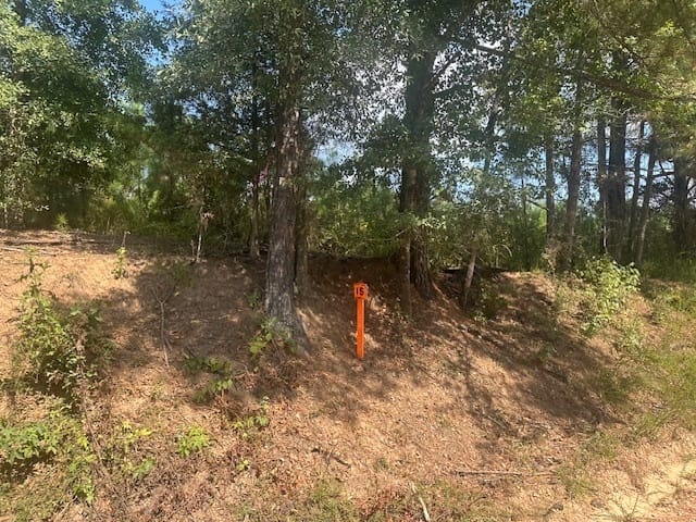 Cook Road, Monticello, Georgia