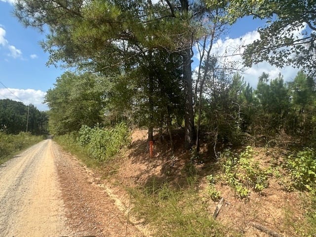 Cook Road, Monticello, Georgia