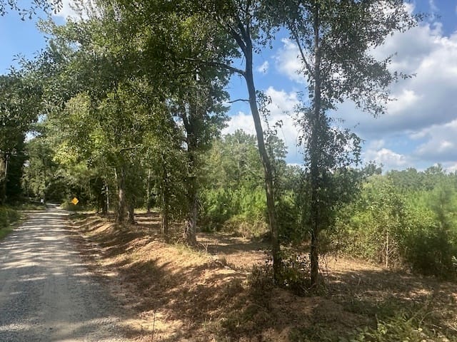 Cook Road, Monticello, Georgia