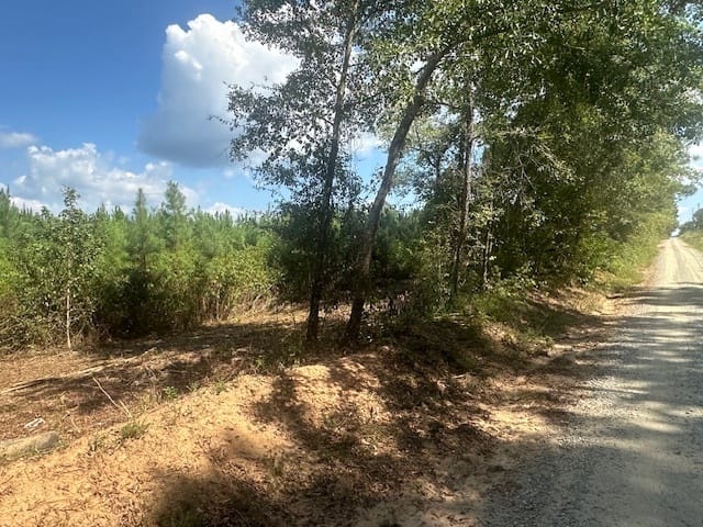 Cook Road, Monticello, Georgia