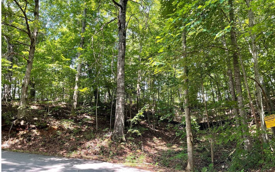 #7 Mountain Drive North, Hiawassee, Georgia