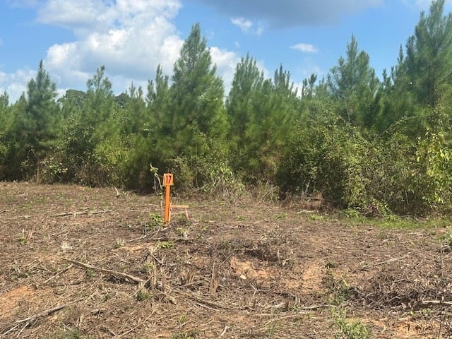 Millen Road, Monticello, Georgia