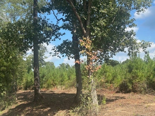 Millen Road, Monticello, Georgia
