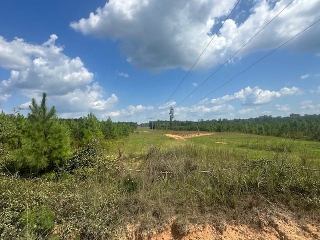 Millen Road, Monticello, Georgia