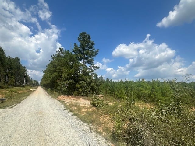 Millen Road, Monticello, Georgia