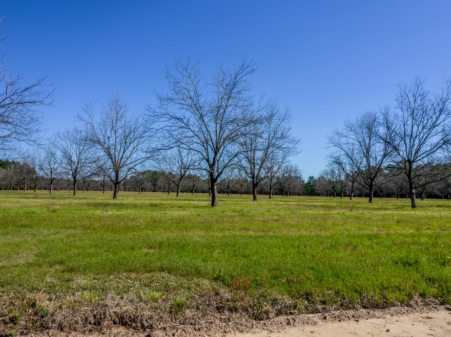 30.91 ACRES Kermit Road, Cobbtown, Georgia