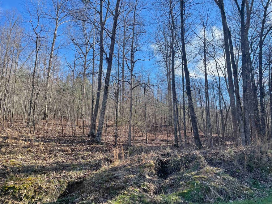 Rockfence Road, Adairsville, Georgia
