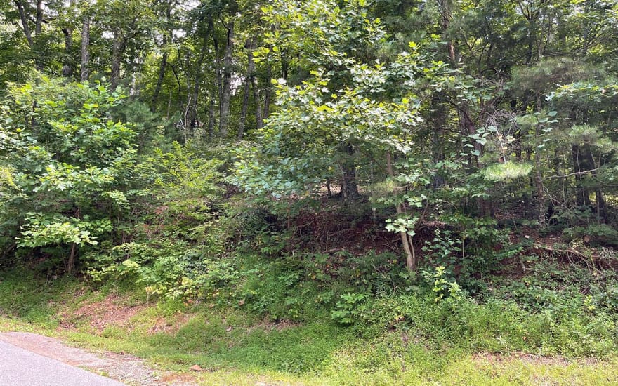 #10 Mountain Drive North, Hiawassee, Georgia